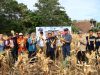 Kerja sama antara Pemerintah Kota Parepare dan Universitas Hasanuddin (Unhas) di bidang pertanian mulai menunjukkan hasil nyata. Wali Kota Parepare, Tasming Hamid, memimpin langsung panen perdana Jagung Jago Unhas (JJUH) di Kelurahan Lappadde, Kecamatan Ujung, Parepare, Jumat (5/9/2025).