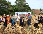 Kerja sama antara Pemerintah Kota Parepare dan Universitas Hasanuddin (Unhas) di bidang pertanian mulai menunjukkan hasil nyata. Wali Kota Parepare, Tasming Hamid, memimpin langsung panen perdana Jagung Jago Unhas (JJUH) di Kelurahan Lappadde, Kecamatan Ujung, Parepare, Jumat (5/9/2025).
