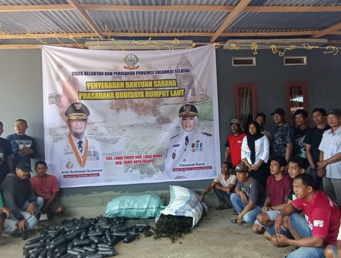 Pemerintah Provinsi Sulawesi Selatan terus memperkuat pertumbuhan ekonomi biru berkelanjutan melalui program bantuan bibit rumput laut bagi petani pesisir. Tahun ini, fokus penyaluran dipusatkan di kawasan Luwu Raya yang meliputi Kota Palopo, Kabupaten Luwu, Luwu Utara, dan Luwu Timur.