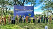 Balai Pemasyarakatan (Bapas) Kelas II Watampone turut ambil bagian dalam gerakan nasional penanaman pohon kelapa sebagai bentuk dukungan terhadap program ketahanan pangan.