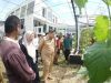 Wali Kota Makassar, Munafri Arifuddin hadiri kegiatan Launching Gerakan Urban Farming Bukit Baruga