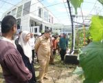 Wali Kota Makassar, Munafri Arifuddin hadiri kegiatan Launching Gerakan Urban Farming Bukit Baruga