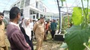 Wali Kota Makassar, Munafri Arifuddin hadiri kegiatan Launching Gerakan Urban Farming Bukit Baruga