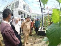 Wali Kota Makassar, Munafri Arifuddin hadiri kegiatan Launching Gerakan Urban Farming Bukit Baruga