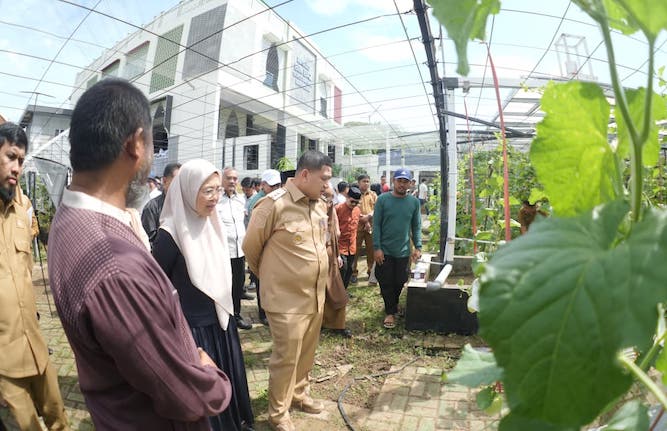 Wali Kota Makassar, Munafri Arifuddin hadiri kegiatan Launching Gerakan Urban Farming Bukit Baruga