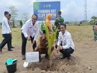 Dukung Program Nasional, Rutan Pangkep Tanam Kelapa di Jagong