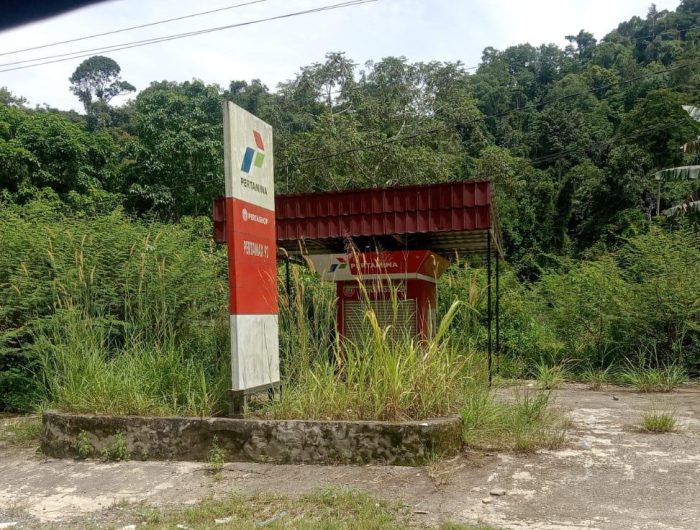 377b6592 71e6 4ba1 a3e1 49867d886a6c