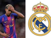 105D7A8C D923 4EDF B394 6129178FF13E