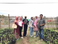 Dukung Program P2B, Dinas Pertanian Serahkan 450 Bibit Cabai ke Pemuda Tani Milenial Manggeasi 29 Dinas Pertanian melalui Kepala Bidang Hortikultura, Supratmojo S.Pt, menyalurkan bantuan bibit cabai rawit unggul kepada Kelompok Pemuda Tani Milenial Manggeasi, Jumat, 7 November 2025.