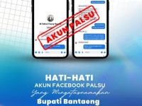 IMG 20251111 WA0000 copy 480x505