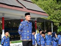 IMG 20251120 WA00311 copy 640x427