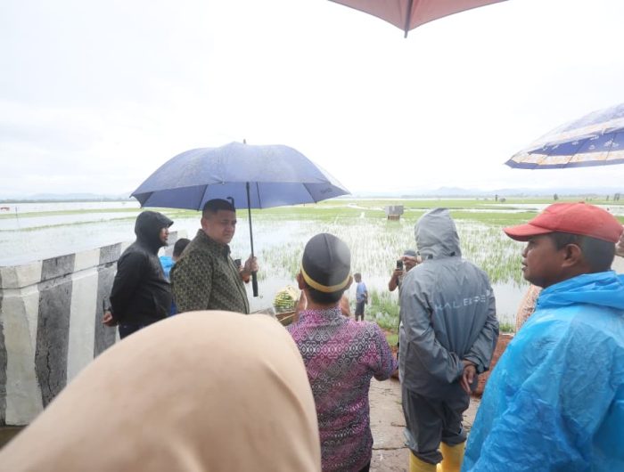 d3d23de4 44dd 4240 867a 79c12fb33306