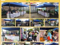 Didanai Insentif Fiskal, Pemprov Sulsel Gencarkan Gerakan Pangan Murah di 24 Kabupaten/Kota 16 Dinas Ketahanan Pangan Provinsi Sulawesi Selatan (Pemprov Sulsel) kembali menggelar Gerakan Pangan Murah (GPM) yang berlangsung sepanjang periode November hingga Desember di seluruh kabupaten/kota.