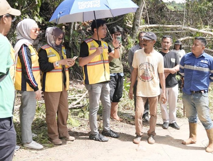 Pemprov Sulsel Serius Perbaiki Akses Lintas Provinsi, Jalan Ussu–Nuha Jadi Sorotan 13 c1d94559 764b 409f 854d ab84c5282d7c