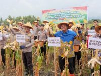 IMG 20260109 WA0001 copy 800x483