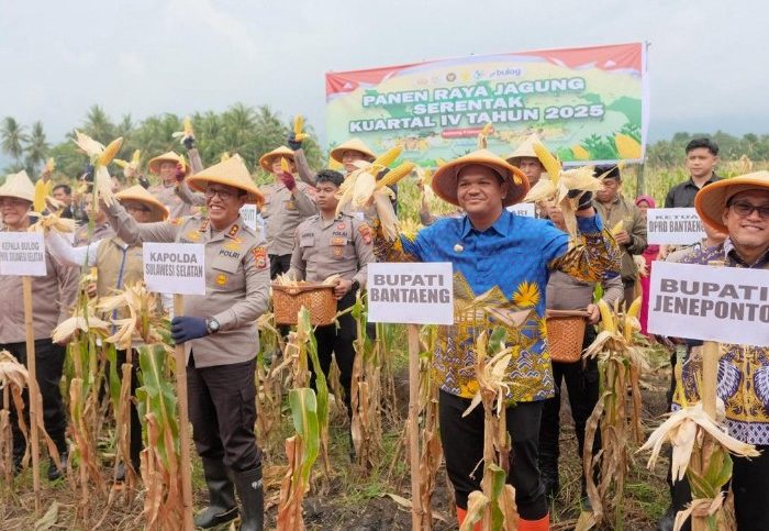 IMG 20260109 WA0001 copy 800x483