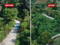 IMG 20260124 WA0007 copy 800x450