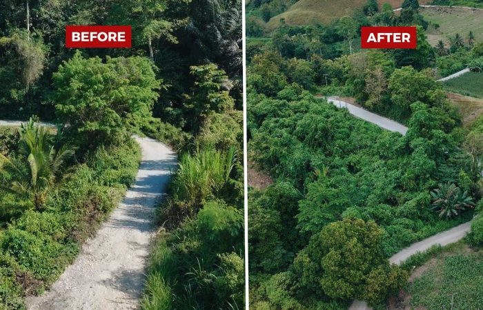 IMG 20260124 WA0007 copy 800x450