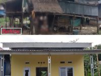 IMG 20260126 WA0005 copy 600x604