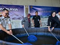 c2de4618 42ec 4dae 8c47 b3eb88555f74