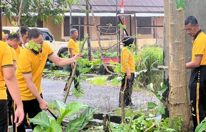 IMG 20260206 WA00271 copy 800x450