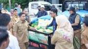 Wali Kota Parepare, Tasming Hamid, menegaskan komitmen Pemerintah Kota untuk terus hadir di tengah masyarakat guna memastikan sistem pelayanan di berbagai sektor berjalan optimal serta seluruh program pemerintah terlaksana sesuai harapan.