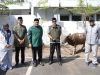 Wali Kota Makassar, Appi bersama jajaran SKPD, tergabung dalam Dewan Pengurus KORPRI Kota Makassar, melaksanakan penyembelihan hewan kurban di kawasan Balai Kota Makassar, Kamis 28 Mei 2026.