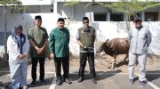 Wali Kota Makassar, Appi bersama jajaran SKPD, tergabung dalam Dewan Pengurus KORPRI Kota Makassar, melaksanakan penyembelihan hewan kurban di kawasan Balai Kota Makassar, Kamis 28 Mei 2026.