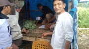 Di sebuah gubuk sederhana di Je'netallasa Barat, Desa Je'netallasa, Kecamatan Bangkala, Kabupaten Jeneponto, Dg Sangkala (57) menjalani hari-harinya dalam keterbatasan.