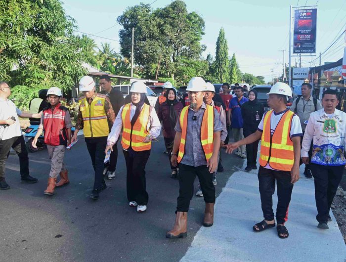 Gubernur dan Wagub Sulsel Tinjau Progres Jalan di Sidrap 13 IMG 20260703 WA0003