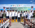 Pemerintah Provinsi Sulawesi Selatan melalui Dinas Lingkungan Hidup dan Kehutanan (DLHK) menanam sebanyak 7.000 bibit mangrove di Dusun Biringkassi, Desa Bulu Cindea, Kecamatan Bungoro, Kabupaten Pangkajene dan Kepulauan (Pangkep), dalam rangka memperingati Hari Mangrove Sedunia 2026.