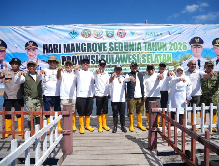 Pemerintah Provinsi Sulawesi Selatan melalui Dinas Lingkungan Hidup dan Kehutanan (DLHK) menanam sebanyak 7.000 bibit mangrove di Dusun Biringkassi, Desa Bulu Cindea, Kecamatan Bungoro, Kabupaten Pangkajene dan Kepulauan (Pangkep), dalam rangka memperingati Hari Mangrove Sedunia 2026.