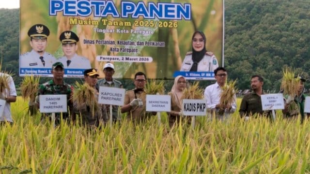 Pemkot Parepare Komitmen Perkuat Sektor Pertanian, Pesta Panen 2025/2026 Berlangsung Meriah 13 Sekretaris Daerah Kota Parepare, Amarun Agung Hamka saat pesta panen musim tanam 2025/2026.