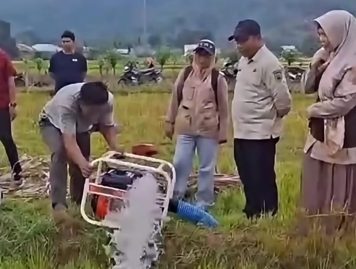 Pemerintah Provinsi Sulawesi Selatan terus bergerak cepat menangani dampak kekeringan tanaman padi di sejumlah daerah menghadapi ancaman puncak musim kemarau yang diperparah fenomena iklim El Nino.