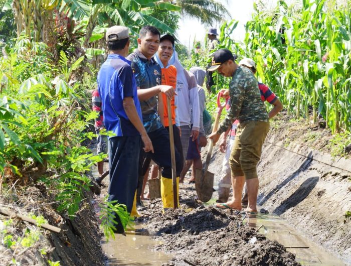 Upaya Jaga Tanaman Petani, Bupati Uji Nurdin Bersama Masyarakat Bersihkan Irigasi di Desa Biangloe 13 Bupati Bantaeng, M. Fathul Fauzy Nurdin terus berupaya membantu petani dalam mengatasi kekeringan akibat dampak fenomena El Nino.