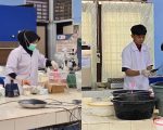 Tujuh mahasiswa Politeknik Pertanian Negeri Pangkajene Kepulauan (Polipangkep) menorehkan prestasi di tingkat nasional dalam ajang Student Competency Competition (SCC) 2026 yang diselenggarakan Politeknik Negeri Lampung (Polinela) secara daring pada 17 September 2026.