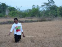ca35cfe1 5ff5 48ef b17b 562fe96edf7a
