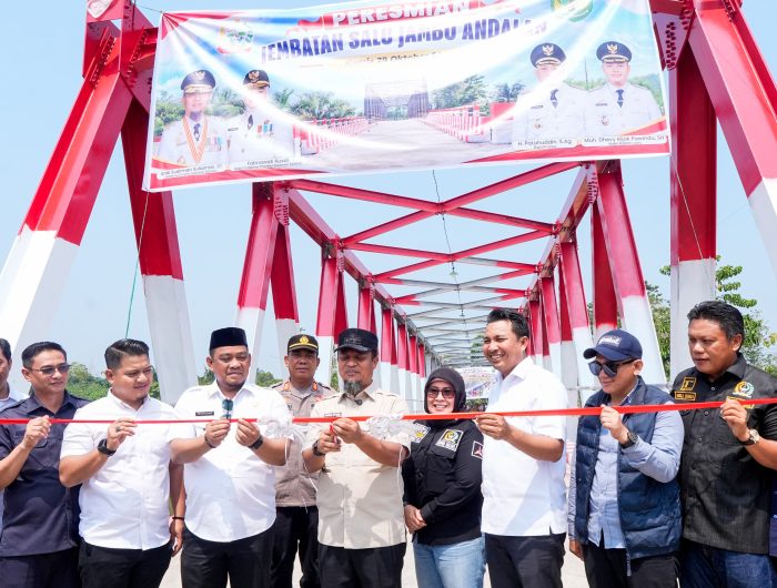 Gubernur Andi Sudirman Resmikan Jembatan Salujambu Andalan, Hubungkan Luwu dan Luwu Utara 13 Gubernur Sulawesi Selatan, Andi Sudirman Sulaiman meresmikan Jembatan Salujambu Andalan di Kecamatan Lamasi, Kabupaten Luwu, Kamis (29/10/2026).